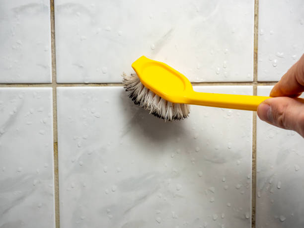 Best Mold Remediation Experts  in Atascocita, TX