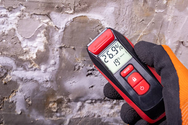 Best Fast Mold Removal  in Atascocita, TX