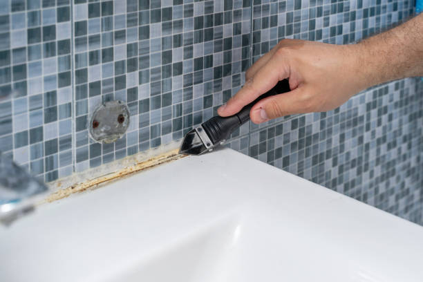 Best Best Mold Removal Companies  in Atascocita, TX