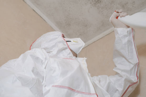 Best Mold Testing  in Atascocita, TX