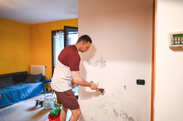 Best Mold Remediation  in Atascocita, TX